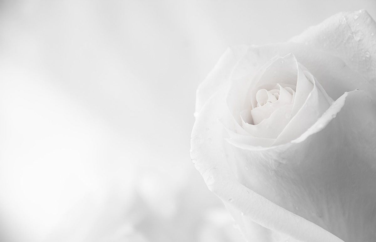 funeral_flower-1